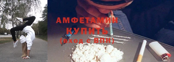 винт Абаза