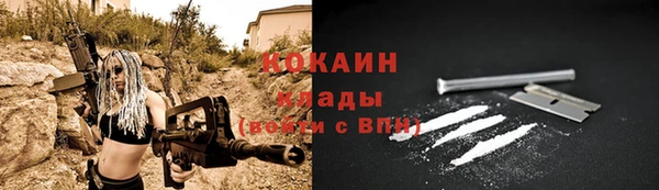 винт Абаза