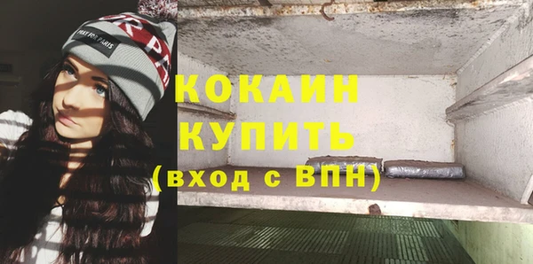 винт Абаза