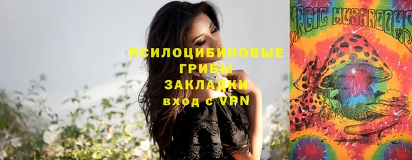 винт Абаза