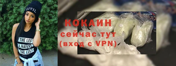 винт Абаза
